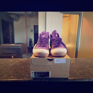 Air Max Flight 95 Jason Kidd Career pack PHX Suns